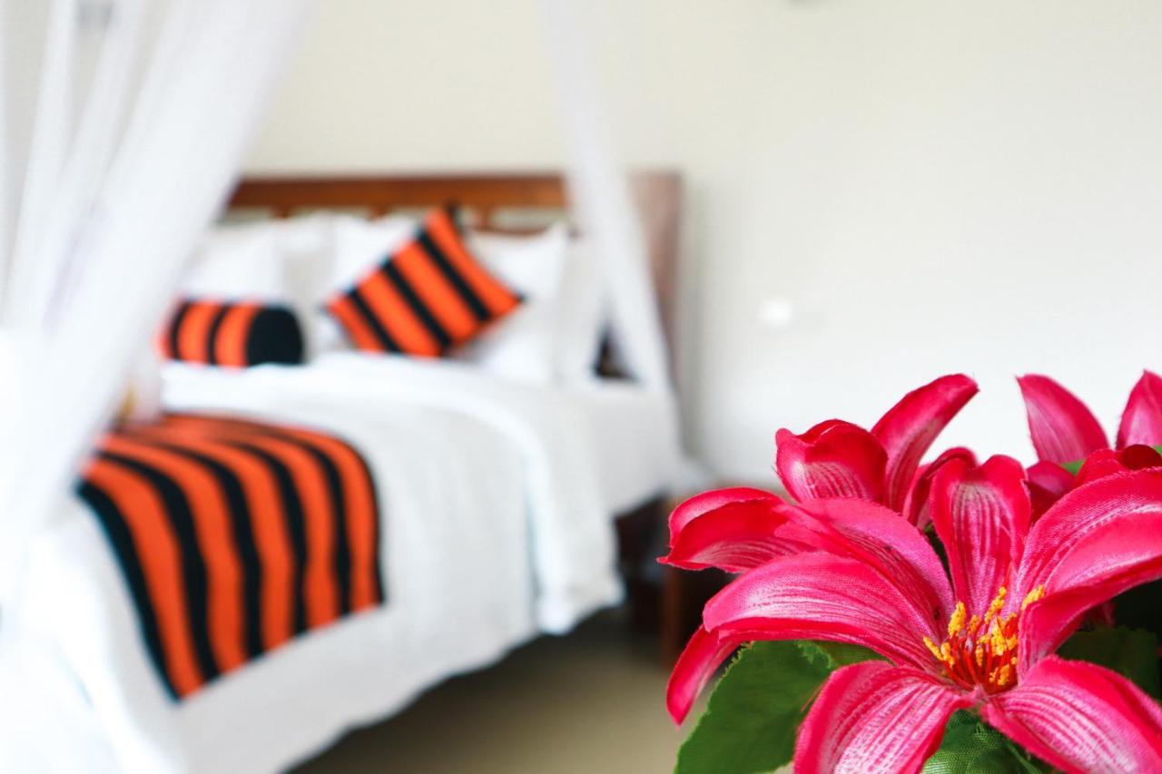 Duet Hearts Bed & Breakfast เอลลา ภายนอก รูปภาพ
